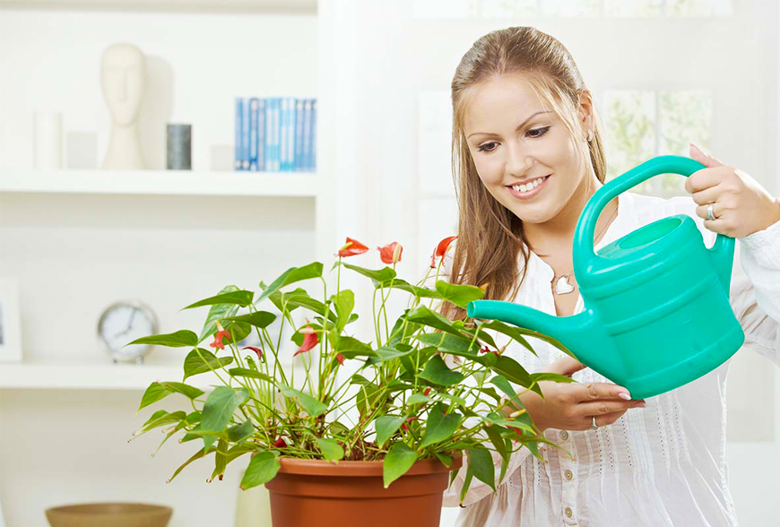 Upon of seasons earth