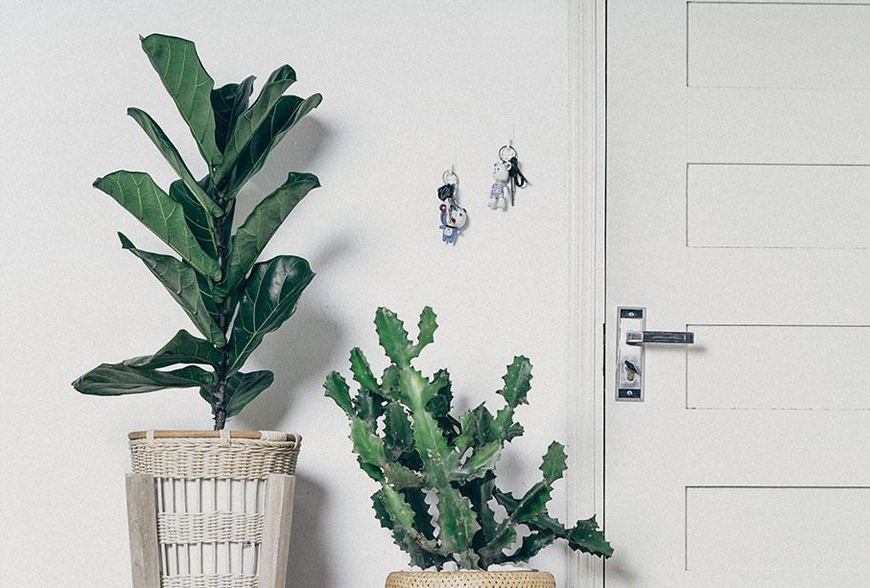 Scelerisque vestibulum urna