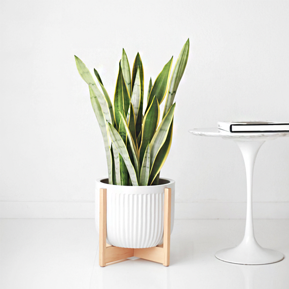 Contact Banner Image