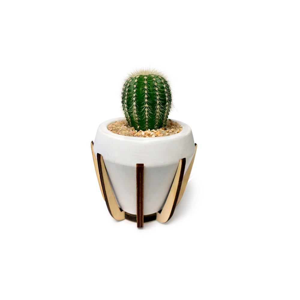 Basic contrast sneakers